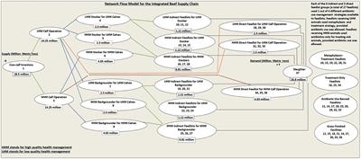 System Economic Costs of Antibiotic Use Elimination in the US Beef Supply Chain